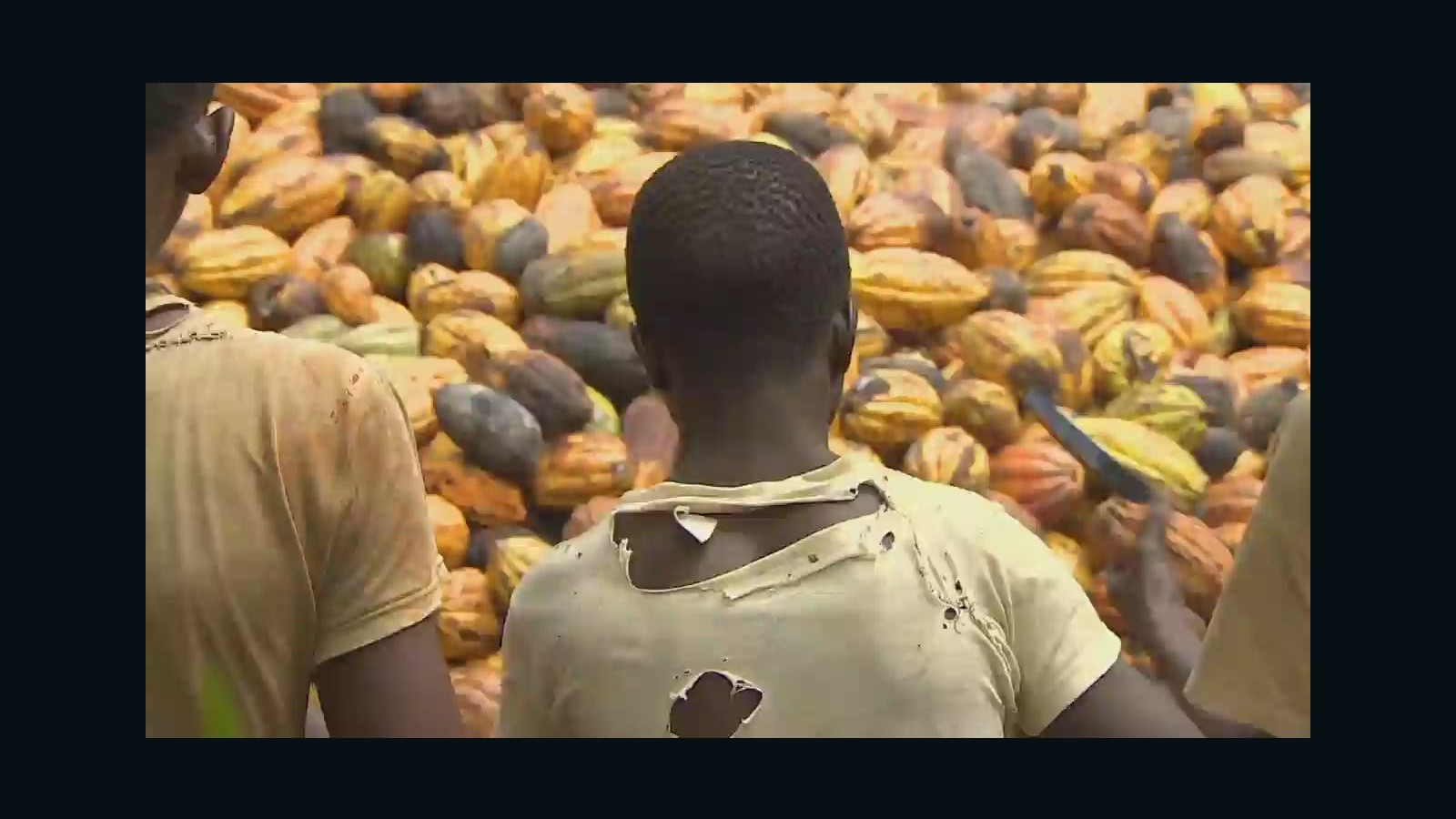 chocolate-industry-tackles-child-slavery-cnn-video