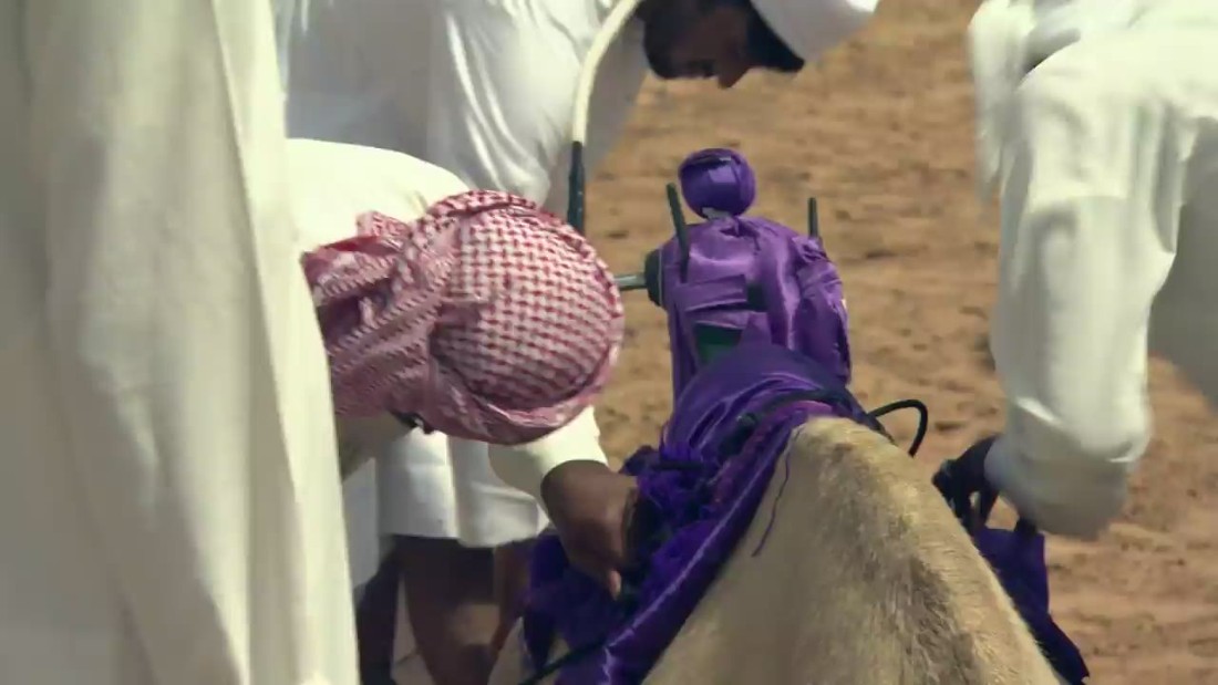 Robot Jockeys Camel Racing
