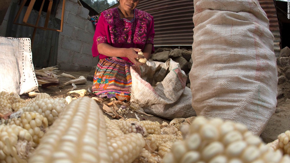 Corn and beans are crucial food staples in Guatemala. They can ward off hunger but don&#39;t provide the full range of nutrients needed for a healthy life.