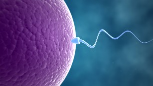 Infertility: Causes, remedies and options