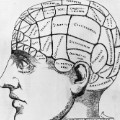 Brain puzzles  - phrenology