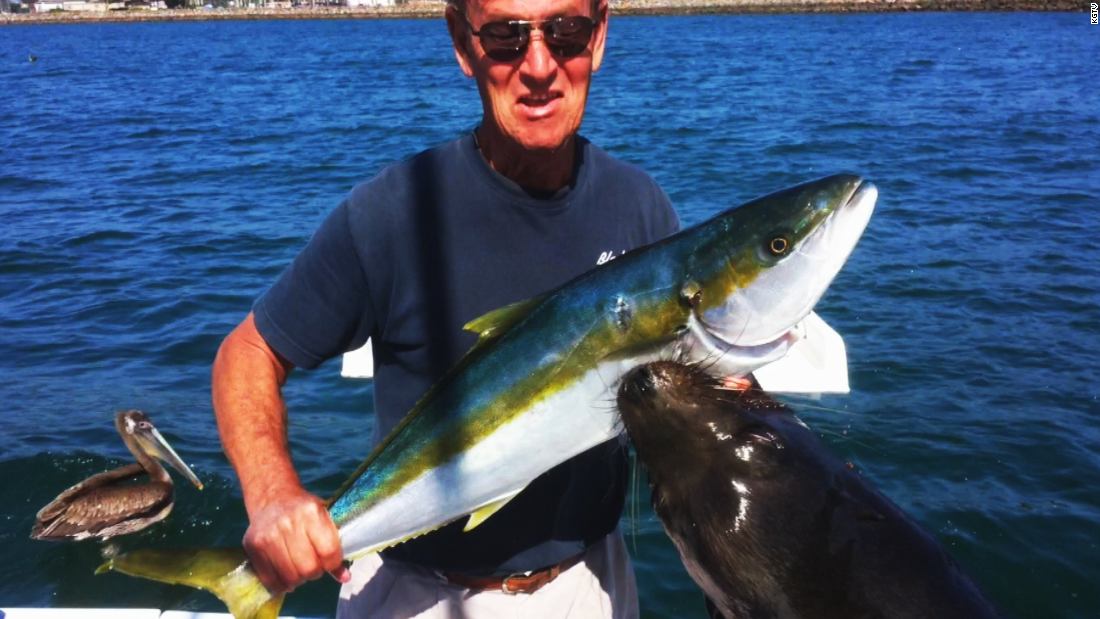 Sea lion attacks man while he's taking a photo - CNN Video