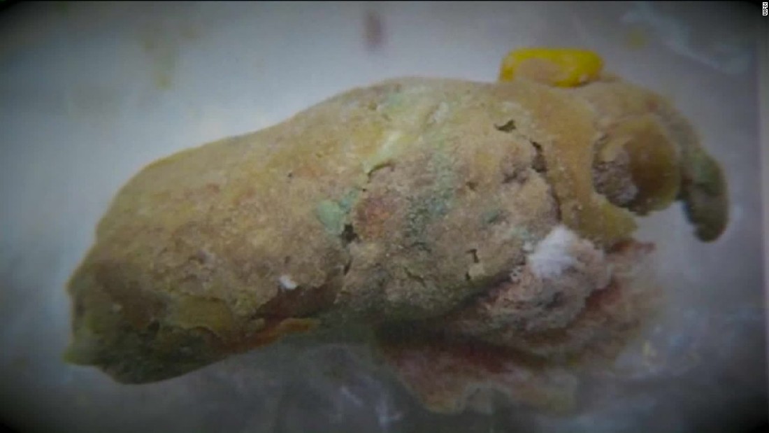 Rat poison found in food at prison CNN Video