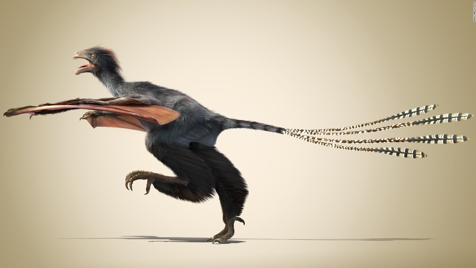 Bizarre Winged Dinosaur Discovered In China - CNN