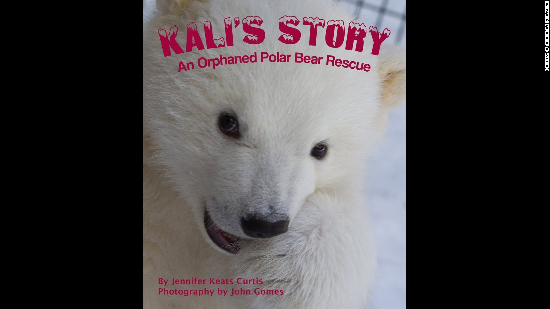 &quot;Kali&#39;s Story: An Orphaned Polar Bear Rescue&quot; by Jennifer Keats Curtis, illustrated by John Gomes was selected as the third grade to fourth grade book of the year. 