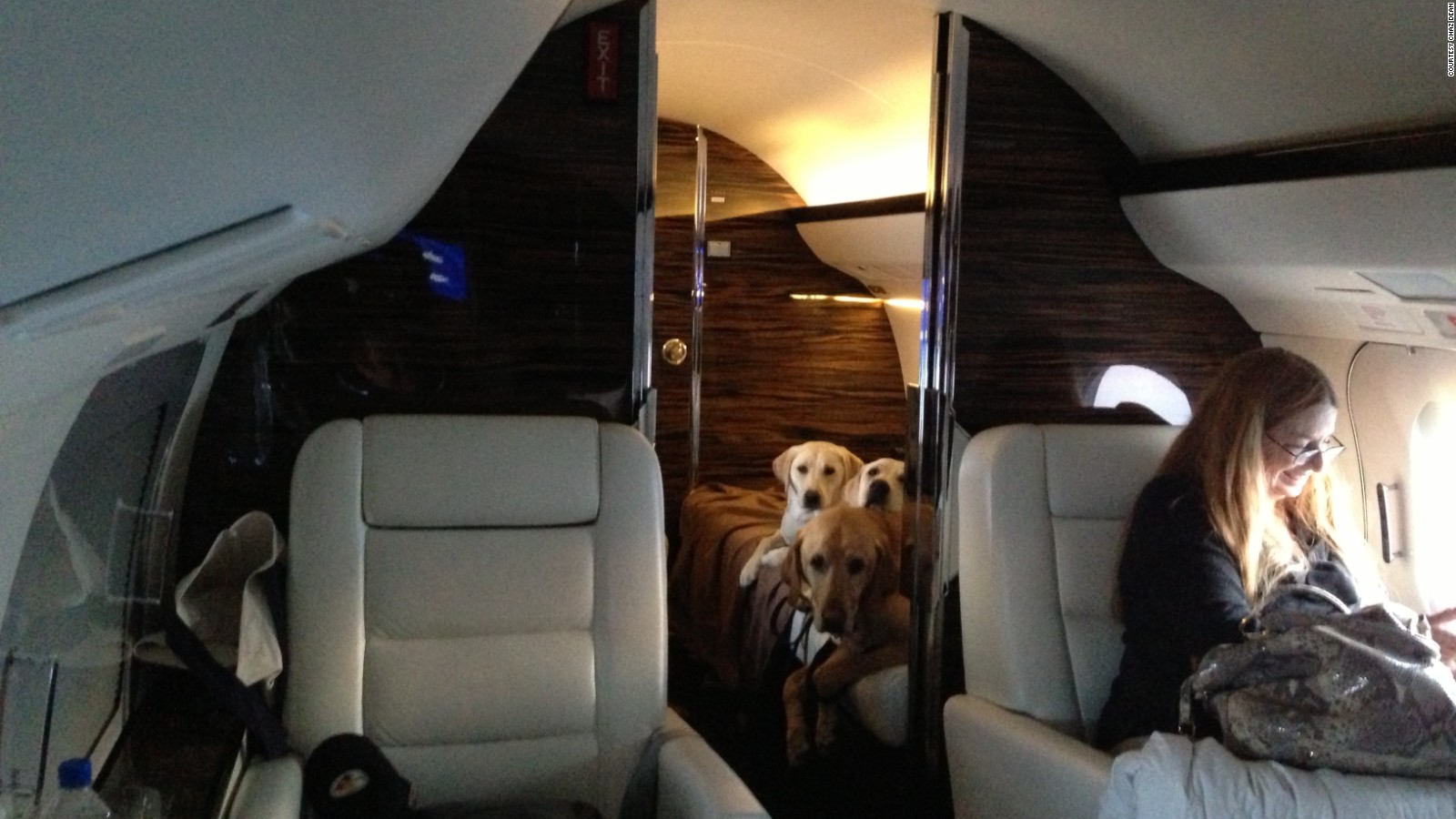 are dogs allowed on private jets