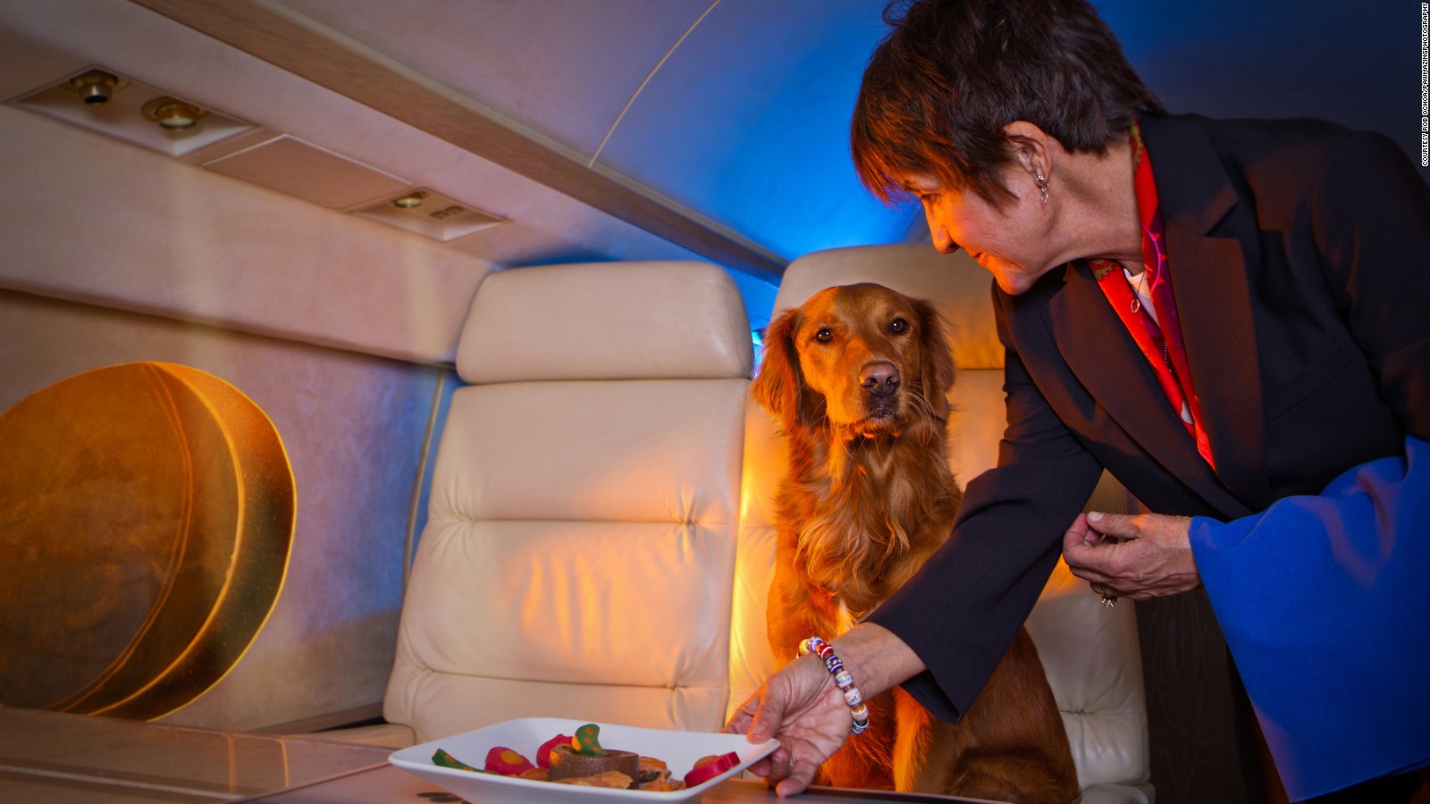 are dogs allowed on private jets