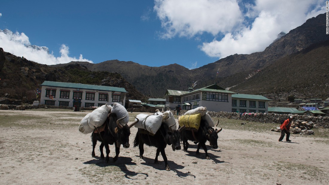 High in the hills, the mode of transportation is often animals such as yaks, donkeys and buffaloes.