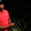 tiger woods players round 4