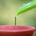 aloe vera juice STOCK