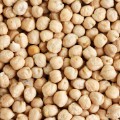 chickpea garbanzo beans STOCK