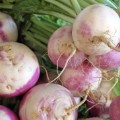 turnips STOCK