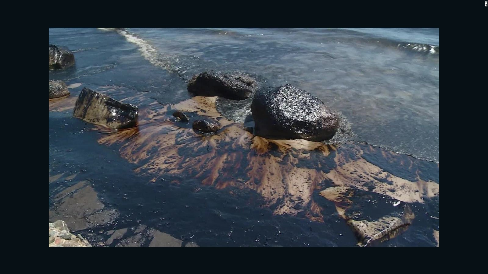 Life slowly returns to Gulf after oil spill (2015) - CNN Video