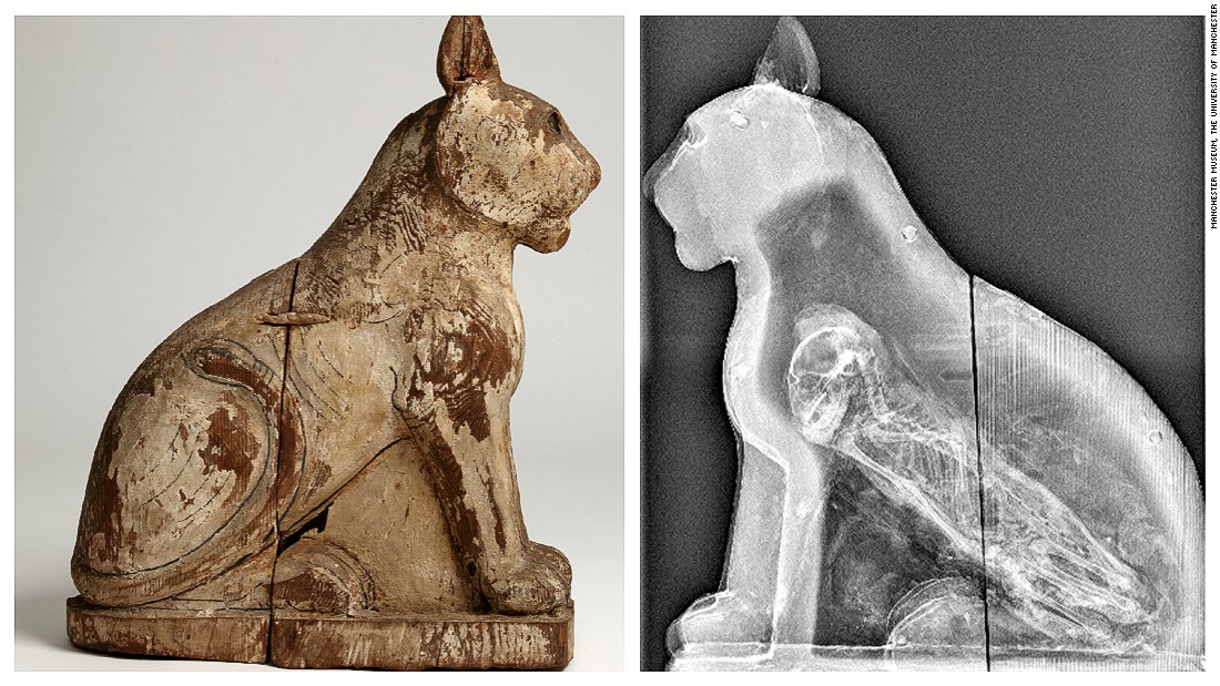 This cat mummy came from Saqqara, south of modern day Cairo. It was in &quot;a major animal cemetery, and is fascinating because it has never been opened,&quot; says Lidija McKnight.
