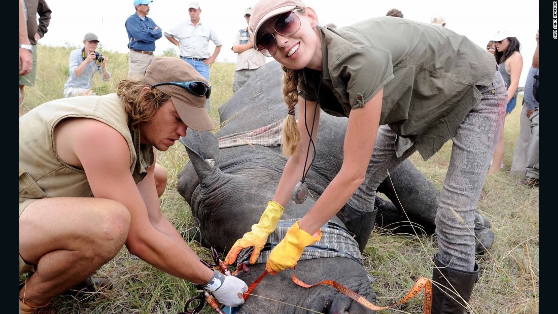 Pembient&#39;s method is one of several radical responses to the rhino crisis. The Sabi Sand Reserve, South Africa, are injecting rhino horns with poison dye that turns them pink as a deterrence. 