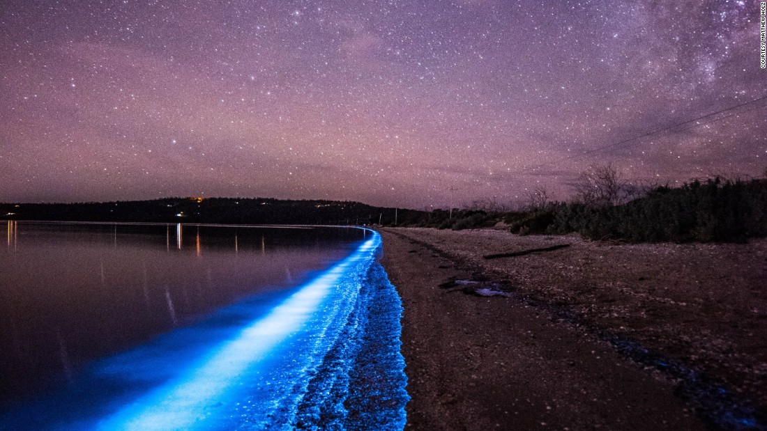 Bioluminescence lights up Australia's shores