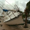 Atlantic Hurricanes Andrew RESTRICTED