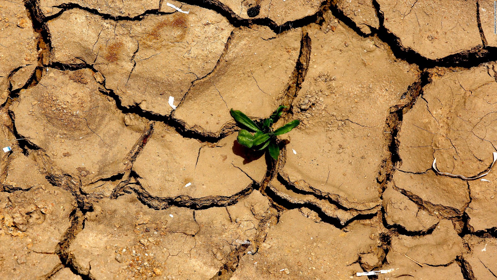 Heat Wave Kills More Than 1 100 In India Cnn