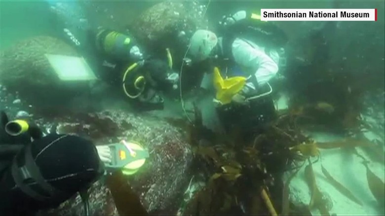 18th century Portuguese slave ship Sao Jose wreck found - CNN