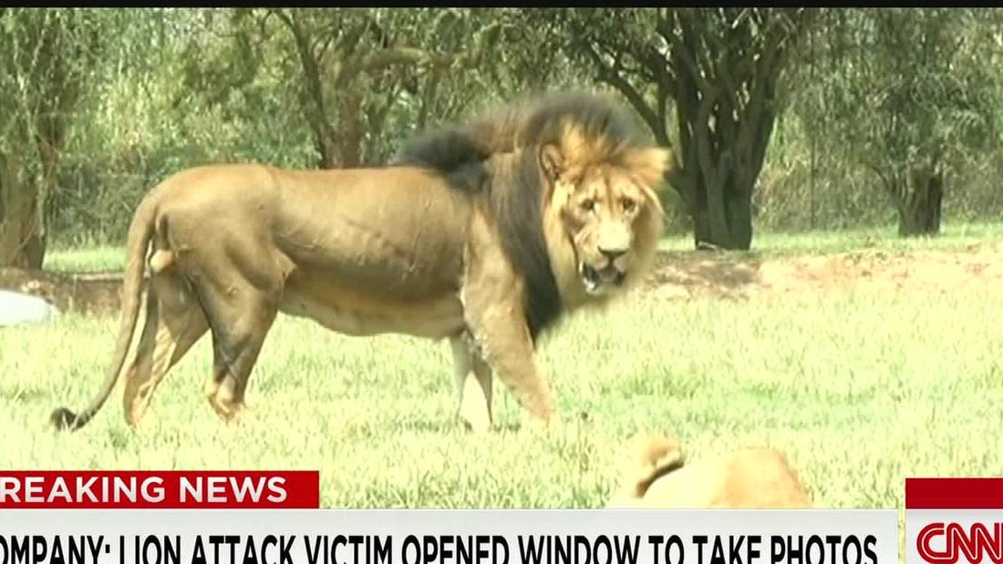 south africa safari attack