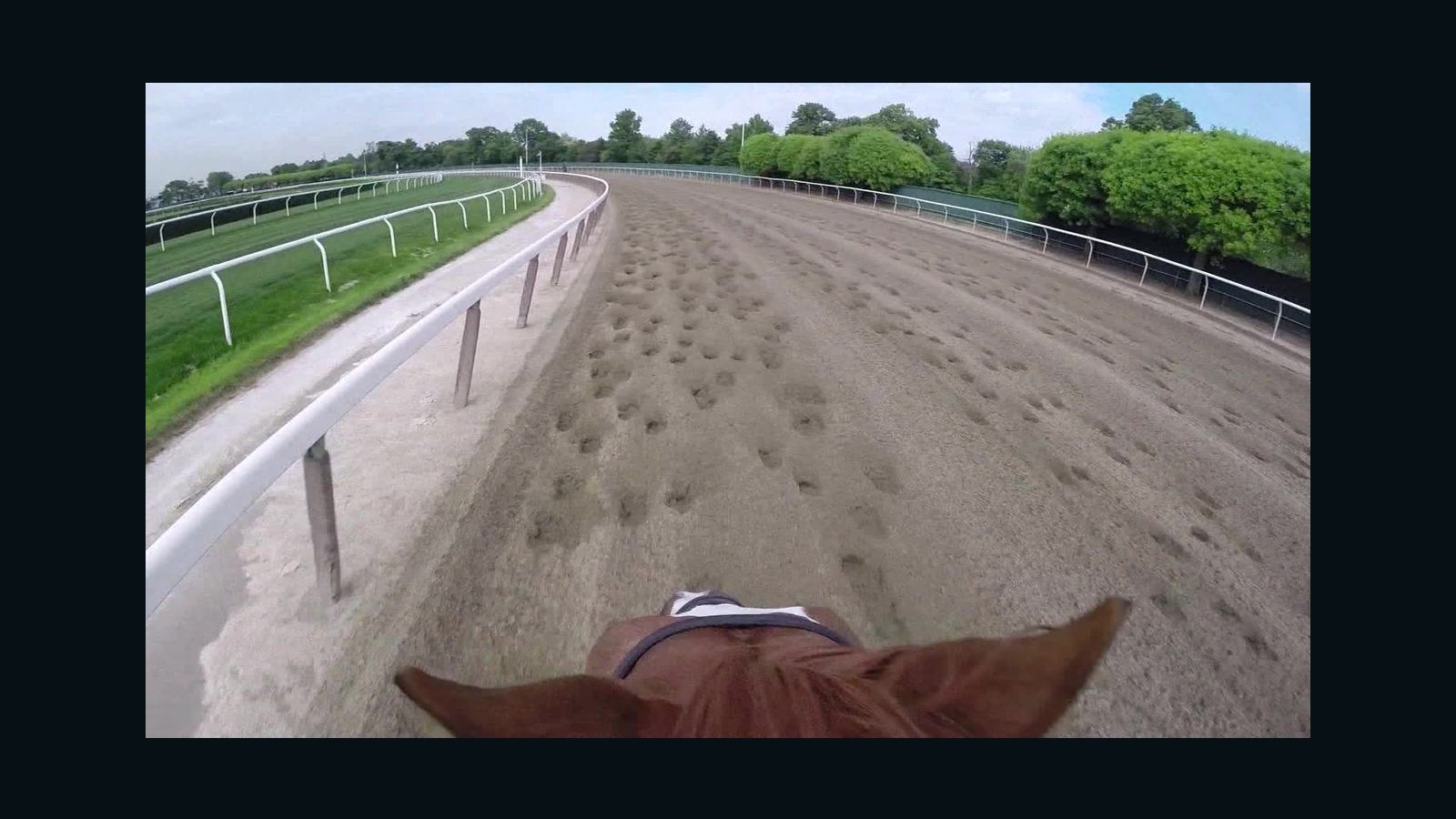 What American Pharoah will see at Belmont Park - CNN Video