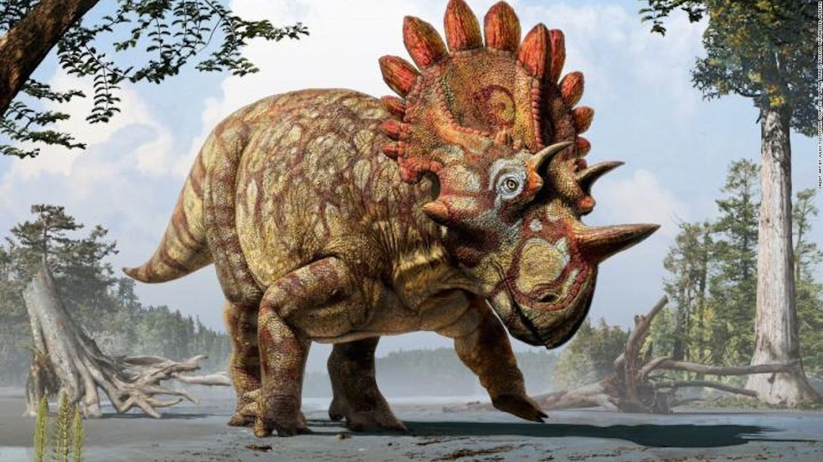 'Dragon Dinosaur' discovered in China CNN Video