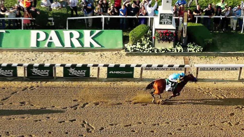 belmont american pharoah triple crown wrap scholes_00001029