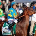 american pharoah starting gate