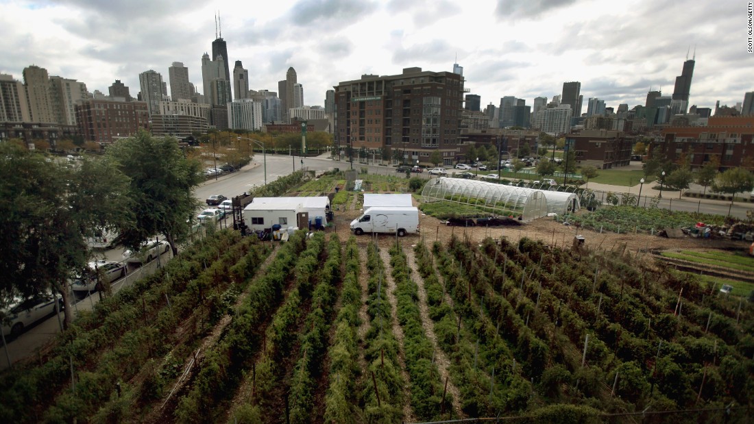 City Farm in Chicago