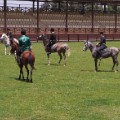 Baku Chovgan European Games Karabakh horses