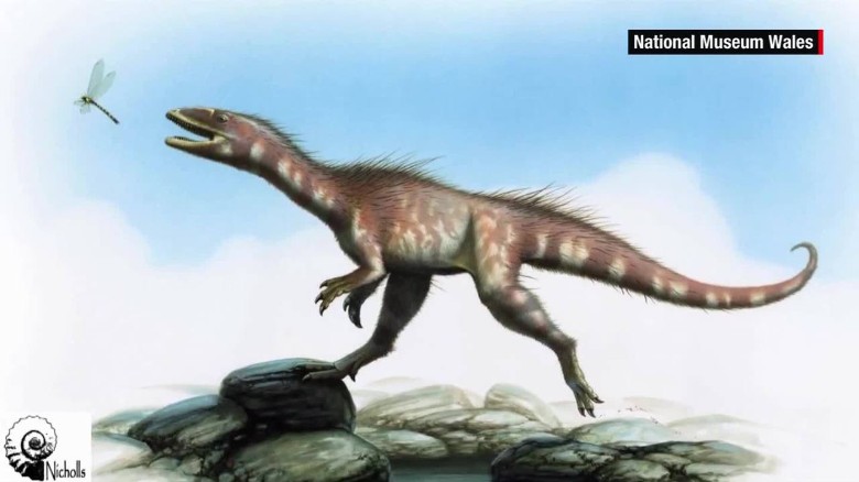 Dragon Dinosaur Discovered In China Cnn Video