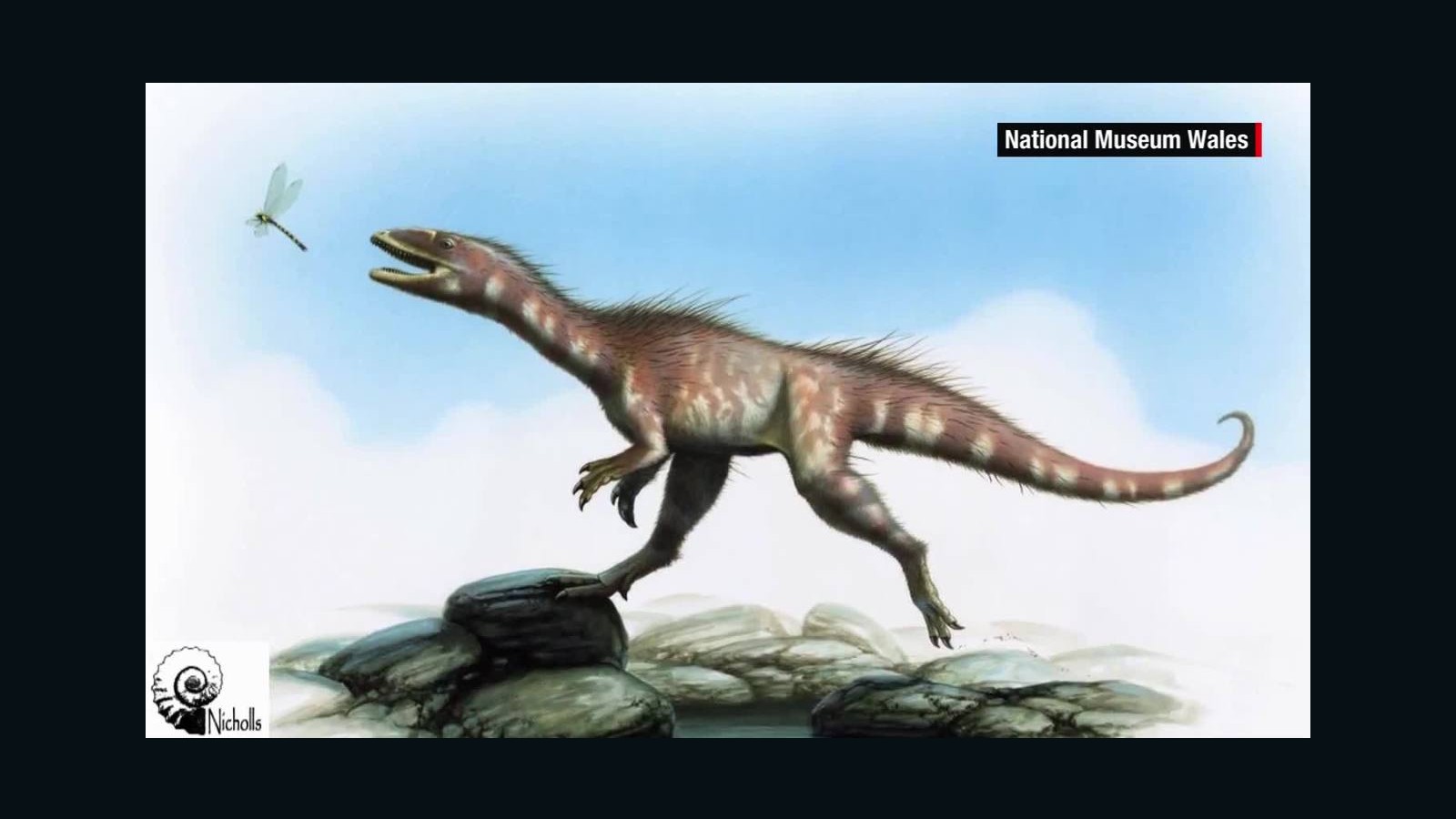 'Dragon Dinosaur' discovered in China CNN Video