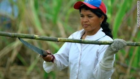 A Fairtrade sugar cane farmer in South America.