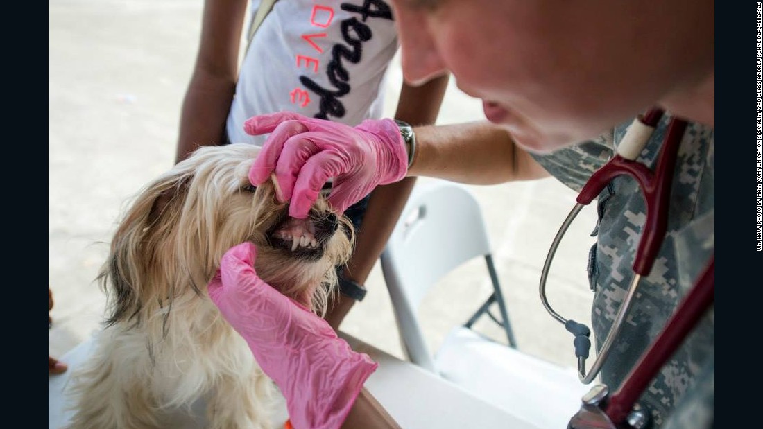 As well as providing humanitarian assistance, crew also offer veterinary and engineering support to partner nations.