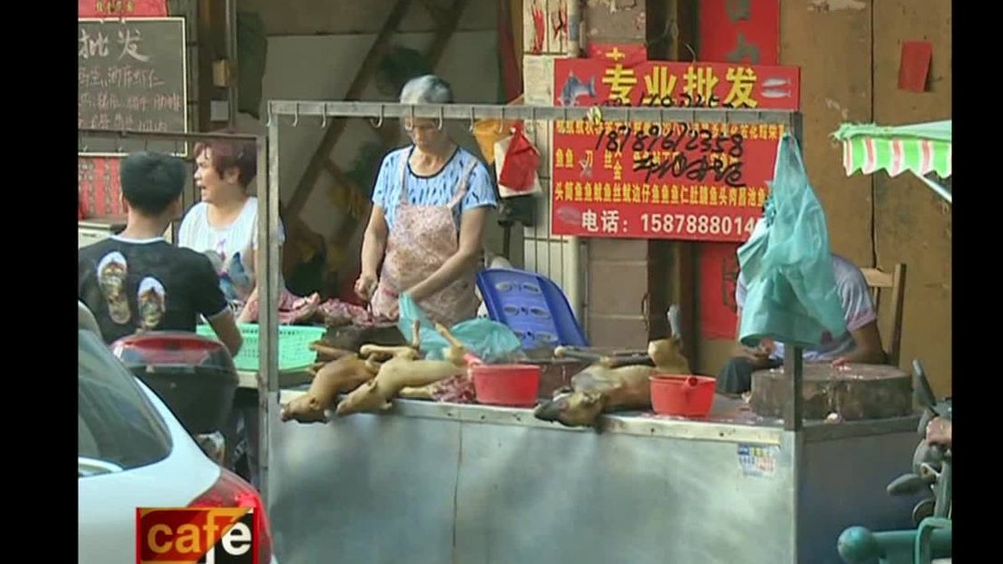 #ParenYulin, ¡dejen de comer perros en China! - CNN Video