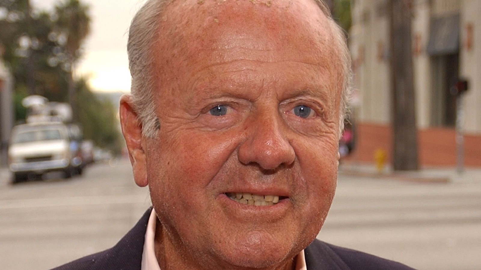 Dick Van Patten Eight Is Enough Father Dies Cnn 