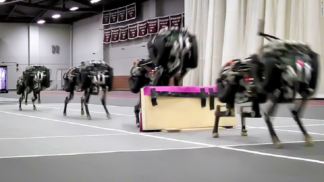 military robot cheetah