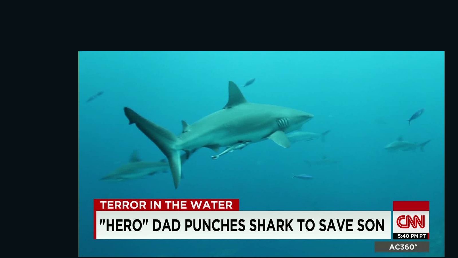 Man punches shark to survive attack CNN Video