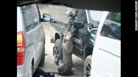 Leopard attacks guide at popular South African game park