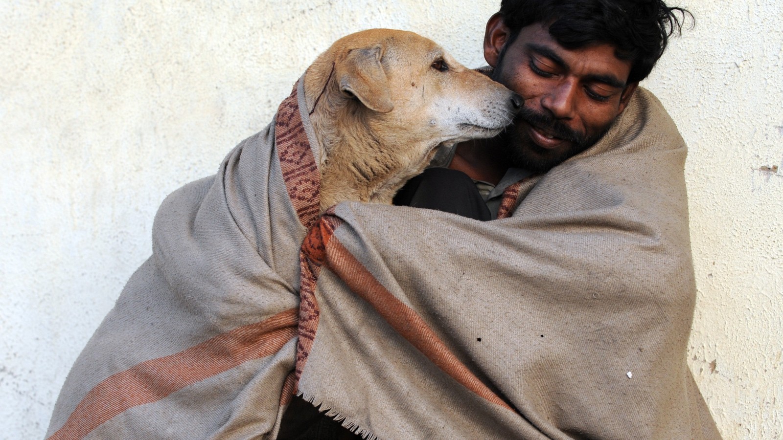 Indian State s Plans To Cull Stray Dogs Hits Opposition CNN