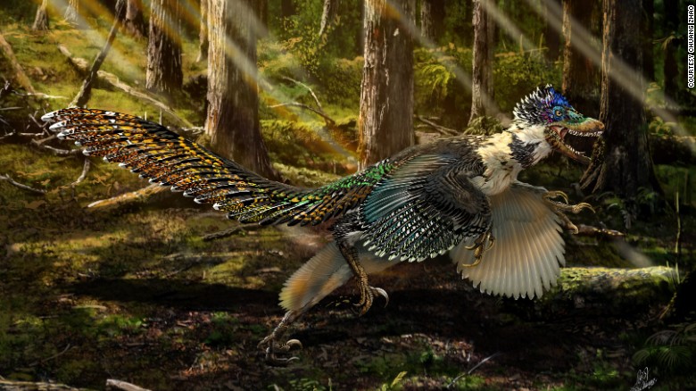 New winged dinosaur discovered in China