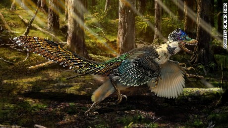 China discovers winged, feathered 'dragon' dinosaur