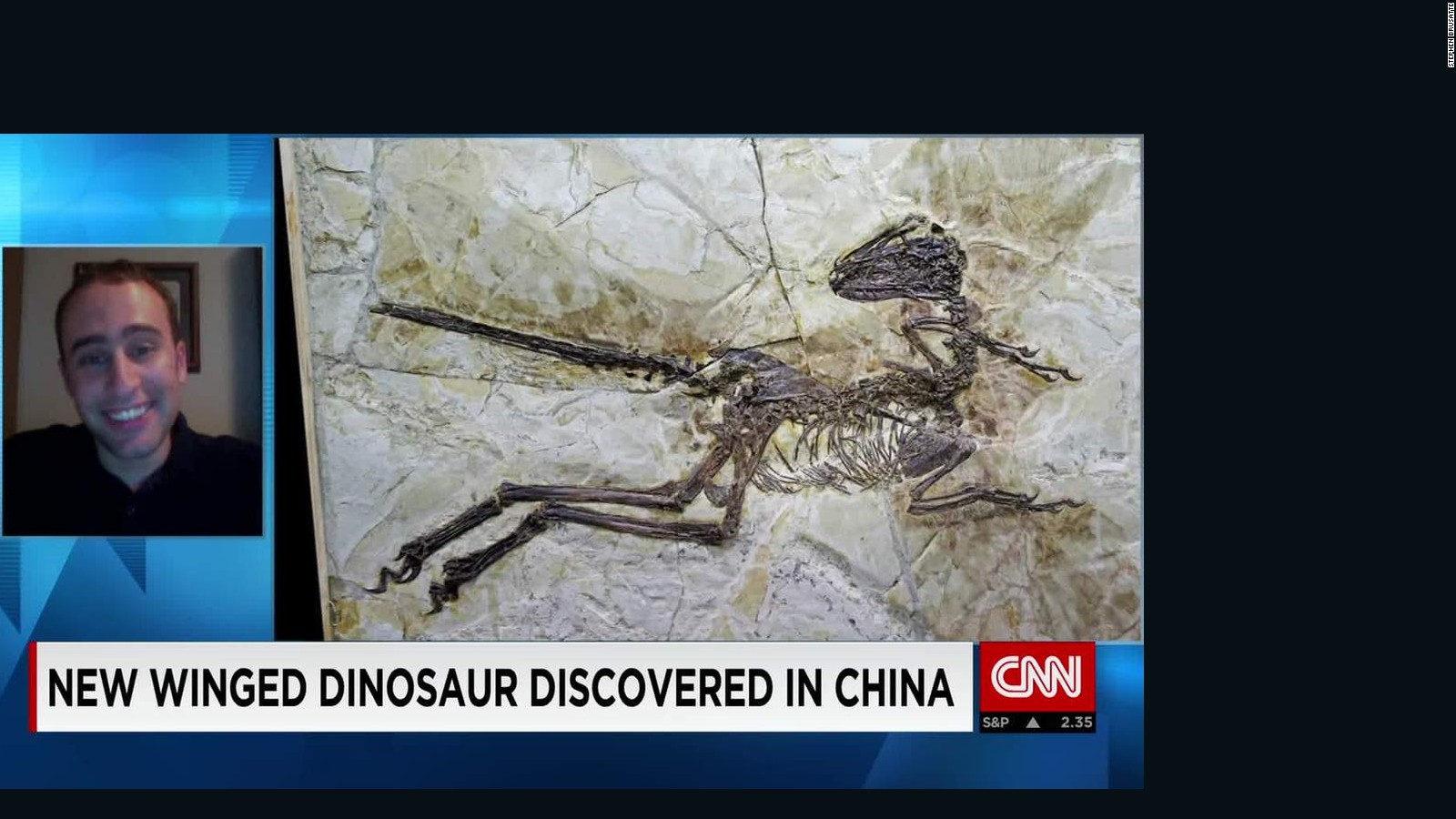 'Dragon Dinosaur' discovered in China CNN Video