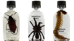 Centipede vodka and fried crickets: Is this the future of food?