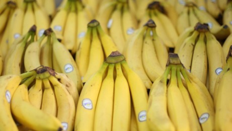 Are bananas going extinct ... again?