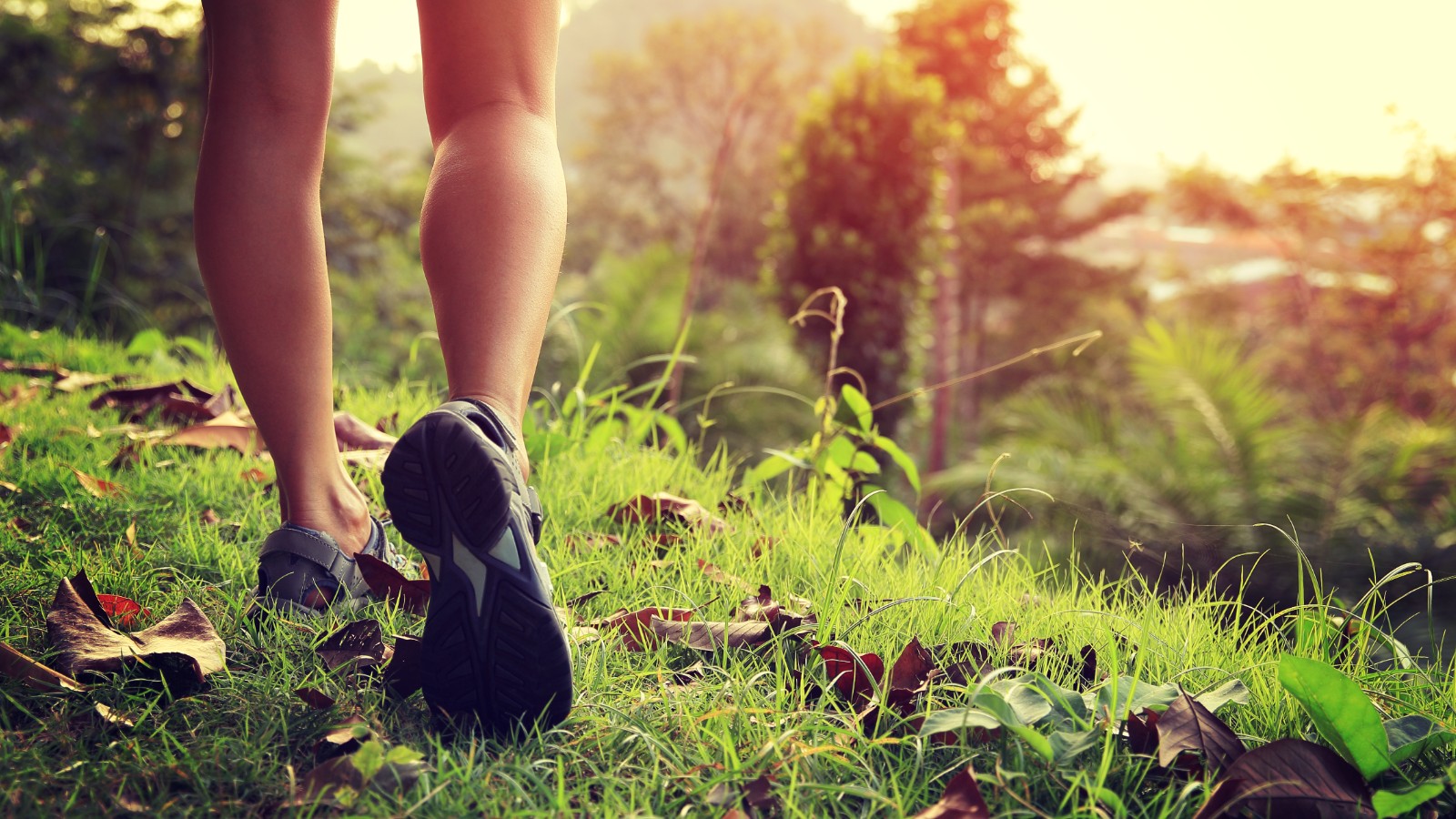 Should You Be Aiming For 10 000 Steps A Day CNN