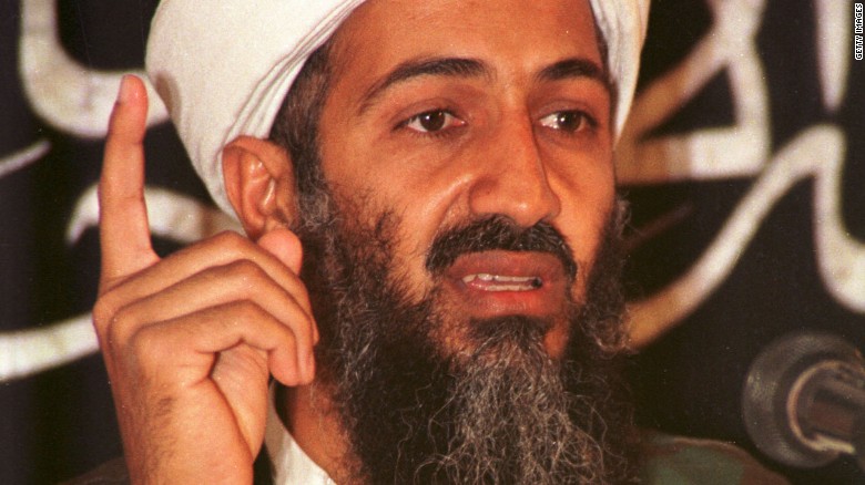 Bin Laden relatives killed in plane crash