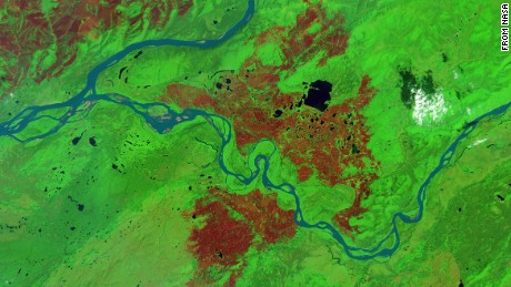 A satellite image shows the aftermath of a wildfire in Alaska in 2015. Burned forest appears brown and unburned forest is green. 
 
