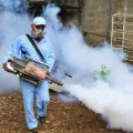 Dengue insecticide spraying