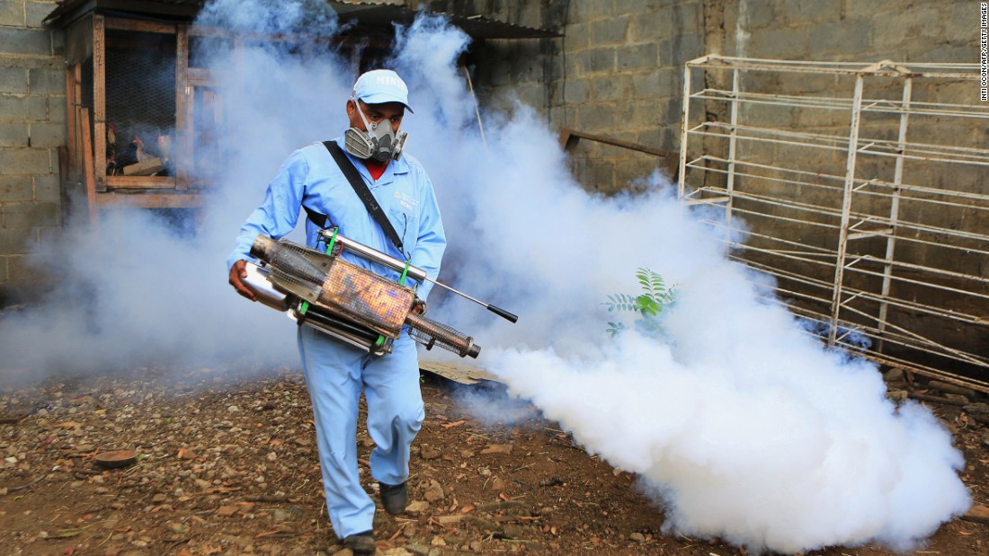 The main control measures for dengue to date have been to reduce the numbers of mosquitoes by large-scale spraying of insecticides. The chemicals have been deployed in both residential and public spaces in a mass culling of the insects spreading the disease.